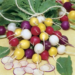 Radish Easter Eggs